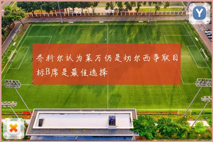 乔科尔认为莱万仍是切尔西争取目标B席是最佳选择